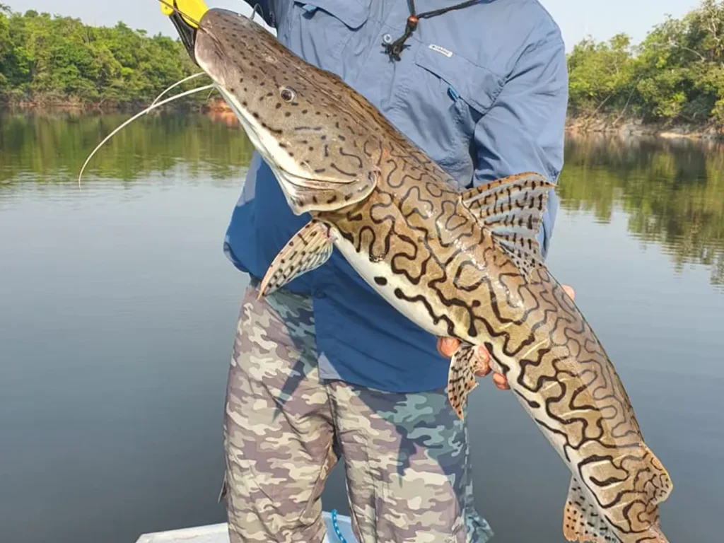POUSADA PESCA SUCUNDURI