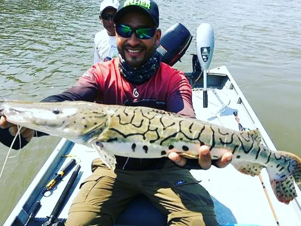 Pousada Acari