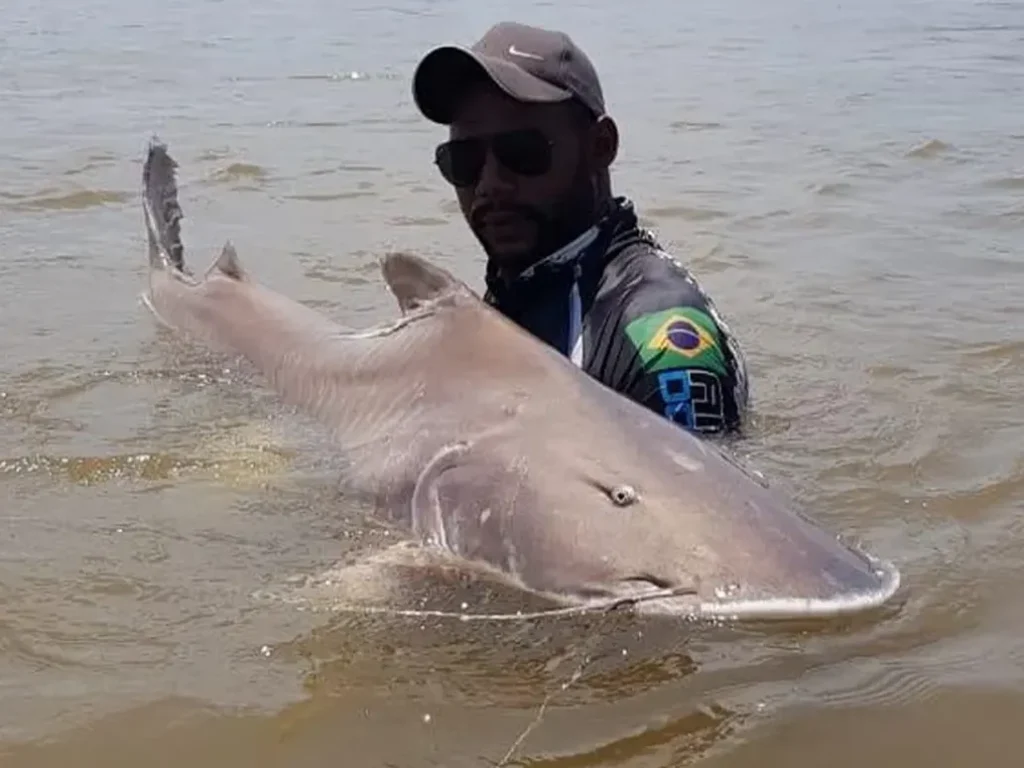 Pousada Rebojinho das Piraibas